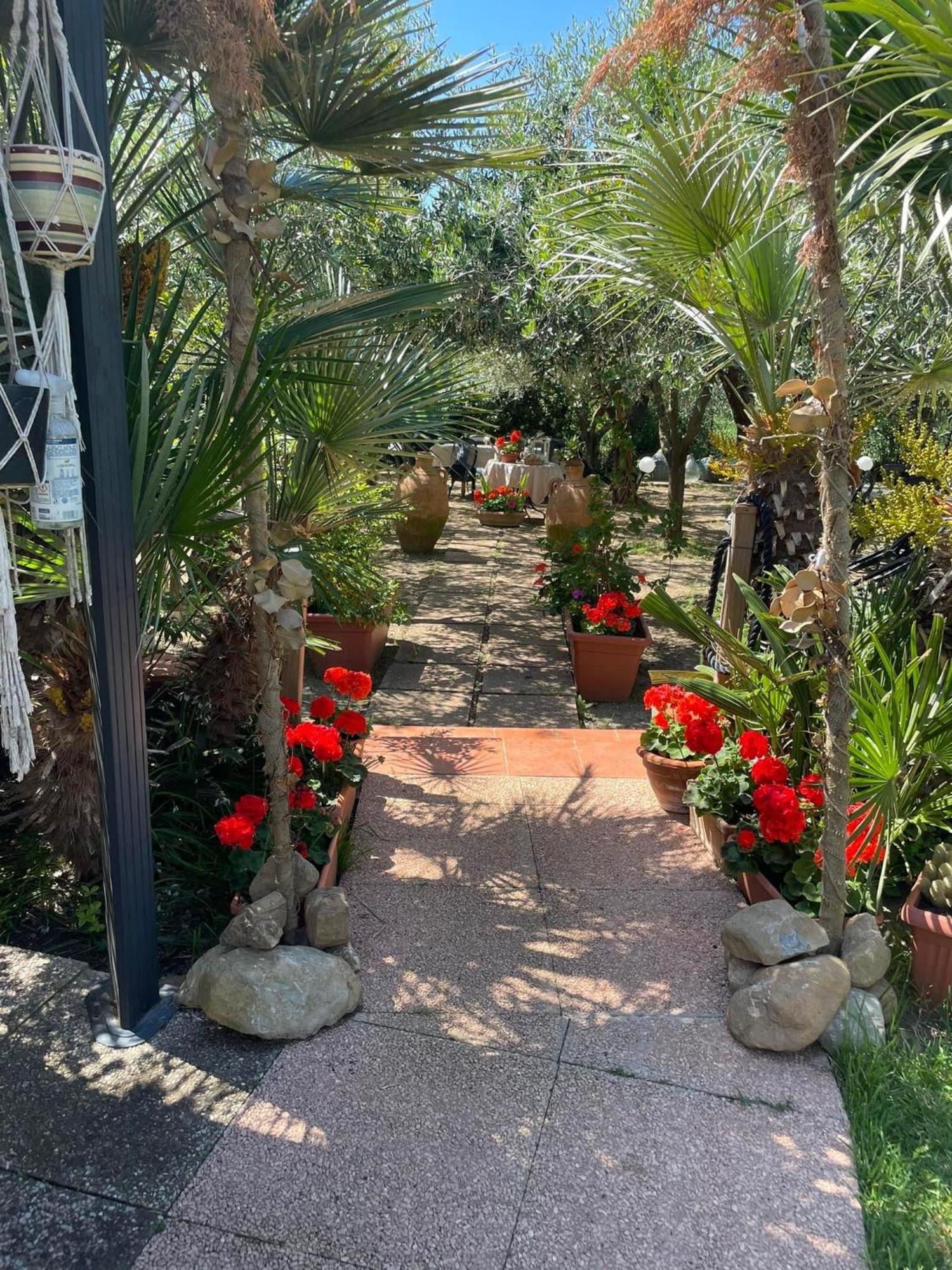הוילה Montenero  La Casina Di Simo מראה חיצוני תמונה